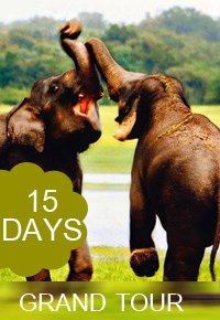 top_hotels_sri_lanka